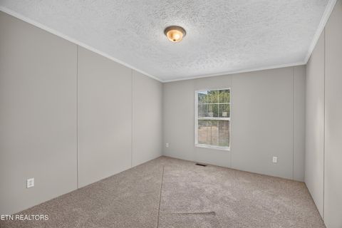 Tiny photo for 137 Morrison Subdivision Rd, Oakdale, TN 37829 (MLS # 1346351)
