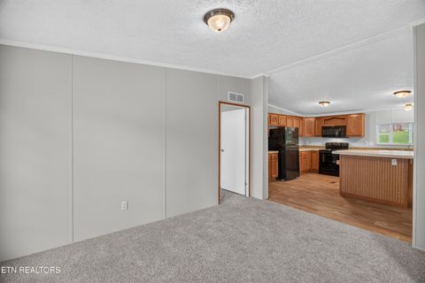 Tiny photo for 137 Morrison Subdivision Rd, Oakdale, TN 37829 (MLS # 1346351)