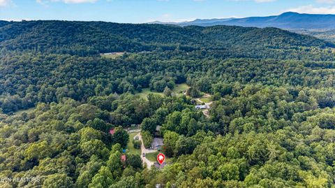 Tiny photo for 137 Morrison Subdivision Rd, Oakdale, TN 37829 (MLS # 1346351)