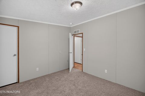 Tiny photo for 137 Morrison Subdivision Rd, Oakdale, TN 37829 (MLS # 1346351)