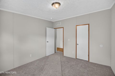 Tiny photo for 137 Morrison Subdivision Rd, Oakdale, TN 37829 (MLS # 1346351)