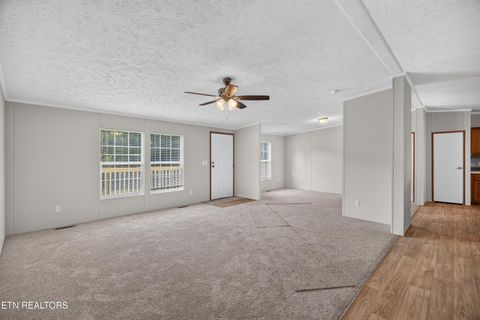 Tiny photo for 137 Morrison Subdivision Rd, Oakdale, TN 37829 (MLS # 1346351)