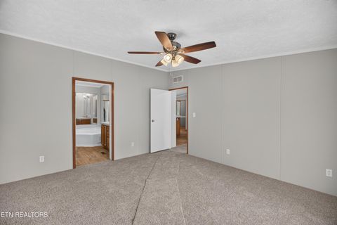 Tiny photo for 137 Morrison Subdivision Rd, Oakdale, TN 37829 (MLS # 1346351)