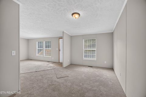 Tiny photo for 137 Morrison Subdivision Rd, Oakdale, TN 37829 (MLS # 1346351)