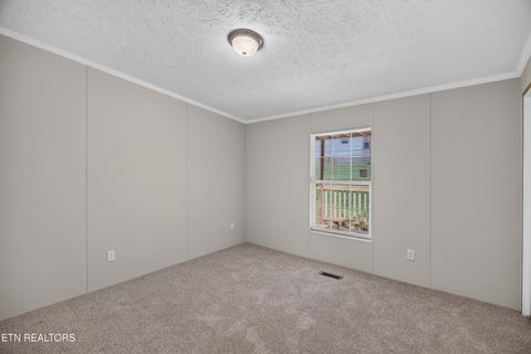 Tiny photo for 137 Morrison Subdivision Rd, Oakdale, TN 37829 (MLS # 1346351)