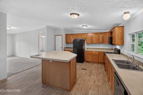 Tiny photo for 137 Morrison Subdivision Rd, Oakdale, TN 37829 (MLS # 1346351)