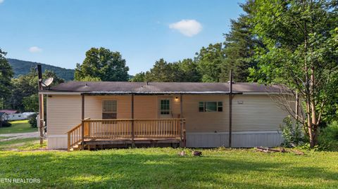 Tiny photo for 137 Morrison Subdivision Rd, Oakdale, TN 37829 (MLS # 1346351)