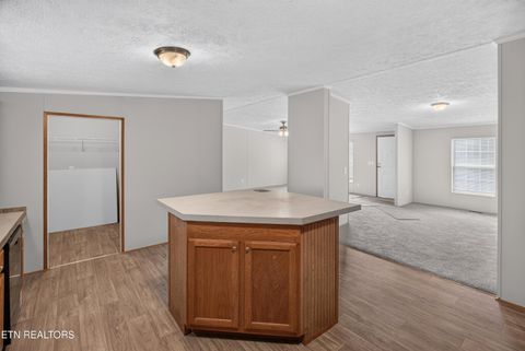 Tiny photo for 137 Morrison Subdivision Rd, Oakdale, TN 37829 (MLS # 1346351)