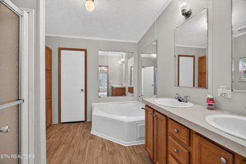 Tiny photo for 137 Morrison Subdivision Rd, Oakdale, TN 37829 (MLS # 1346351)