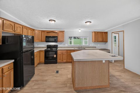 Tiny photo for 137 Morrison Subdivision Rd, Oakdale, TN 37829 (MLS # 1346351)