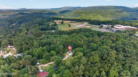 Tiny photo for 137 Morrison Subdivision Rd, Oakdale, TN 37829 (MLS # 1346351)