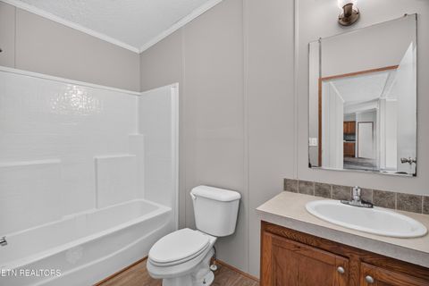 Tiny photo for 137 Morrison Subdivision Rd, Oakdale, TN 37829 (MLS # 1346351)