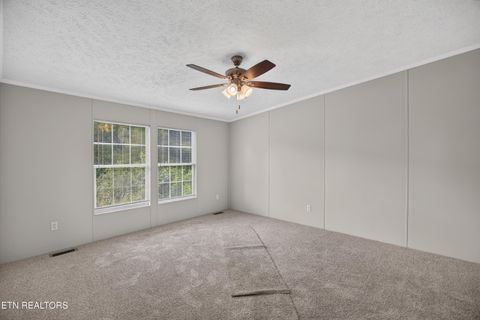 Tiny photo for 137 Morrison Subdivision Rd, Oakdale, TN 37829 (MLS # 1346351)