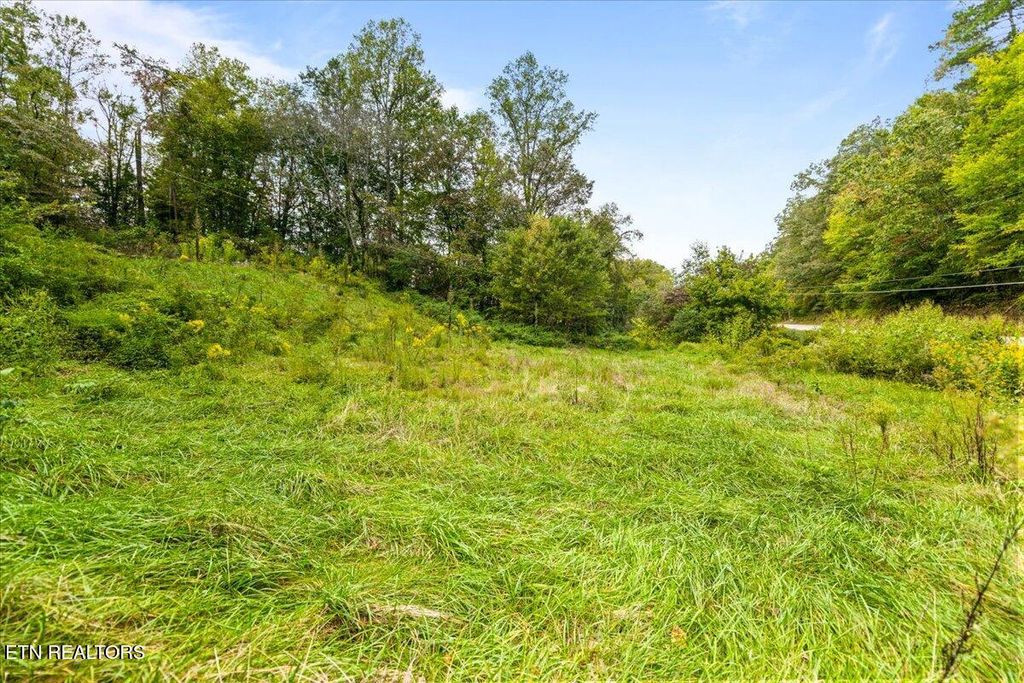 Photo of 2886 Cedar Creek Rd, LaFollette, TN 37766 (MLS # 1316360)