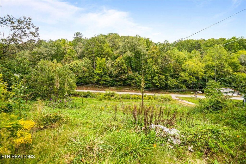 Photo of 2886 Cedar Creek Rd, LaFollette, TN 37766 (MLS # 1316360)