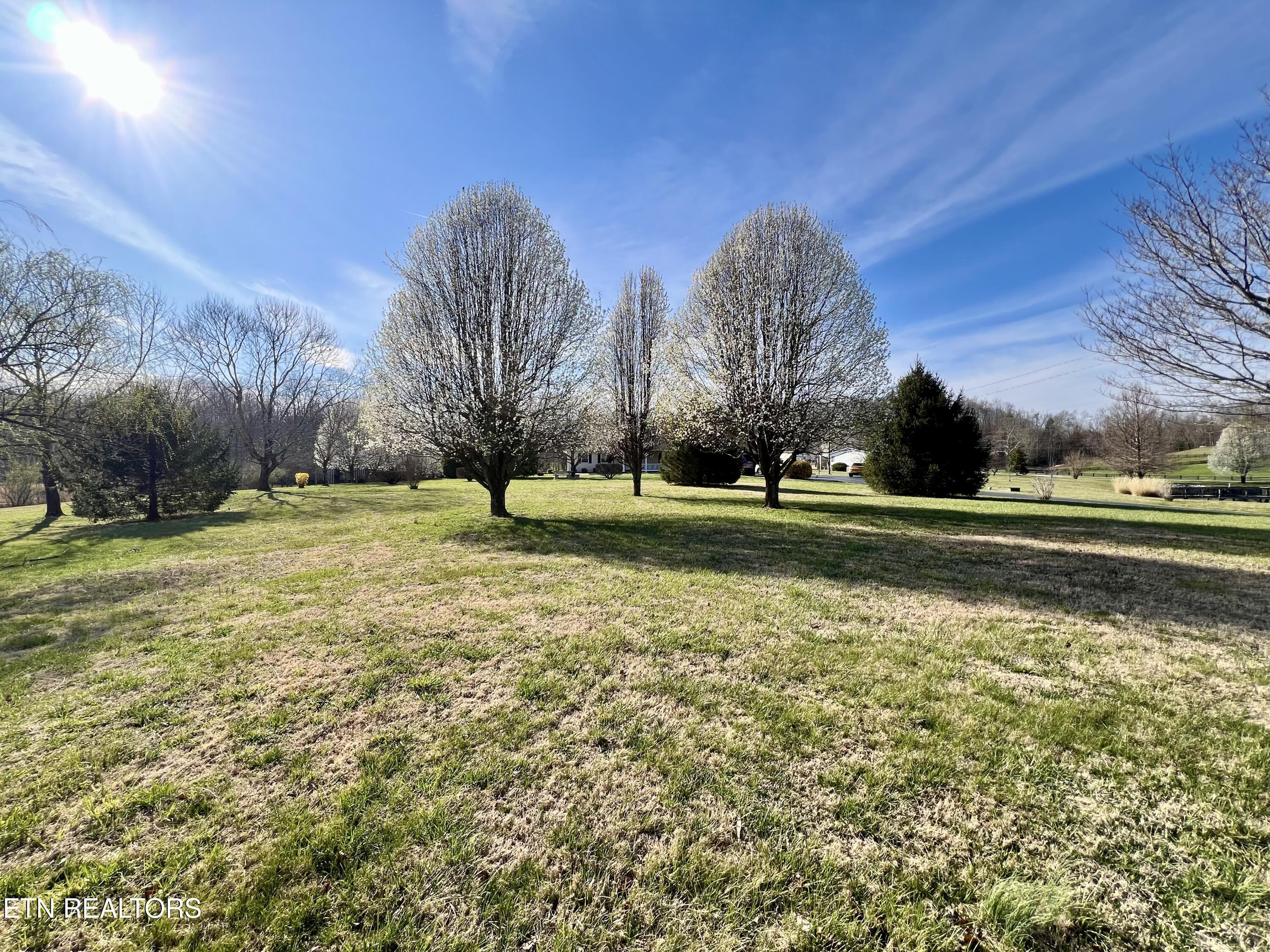788 Old Jamestown Rd