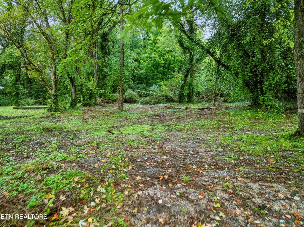 Photo of 3109 Landview Drive, Knoxville, TN 37914 (MLS # 1358517)