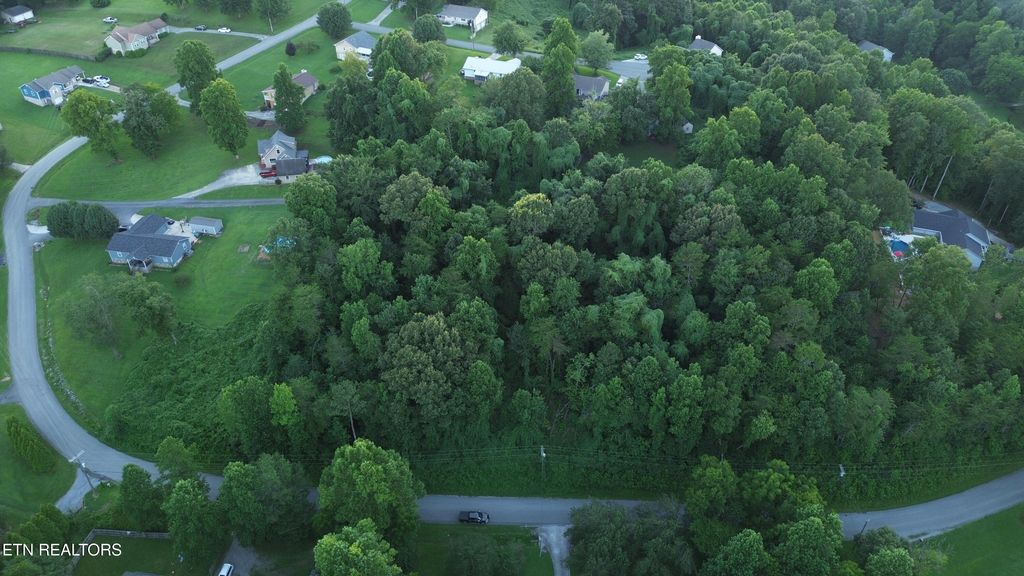 Photo of 69 Ashley Lane, Dayton, TN 37321 (MLS # 1309982)