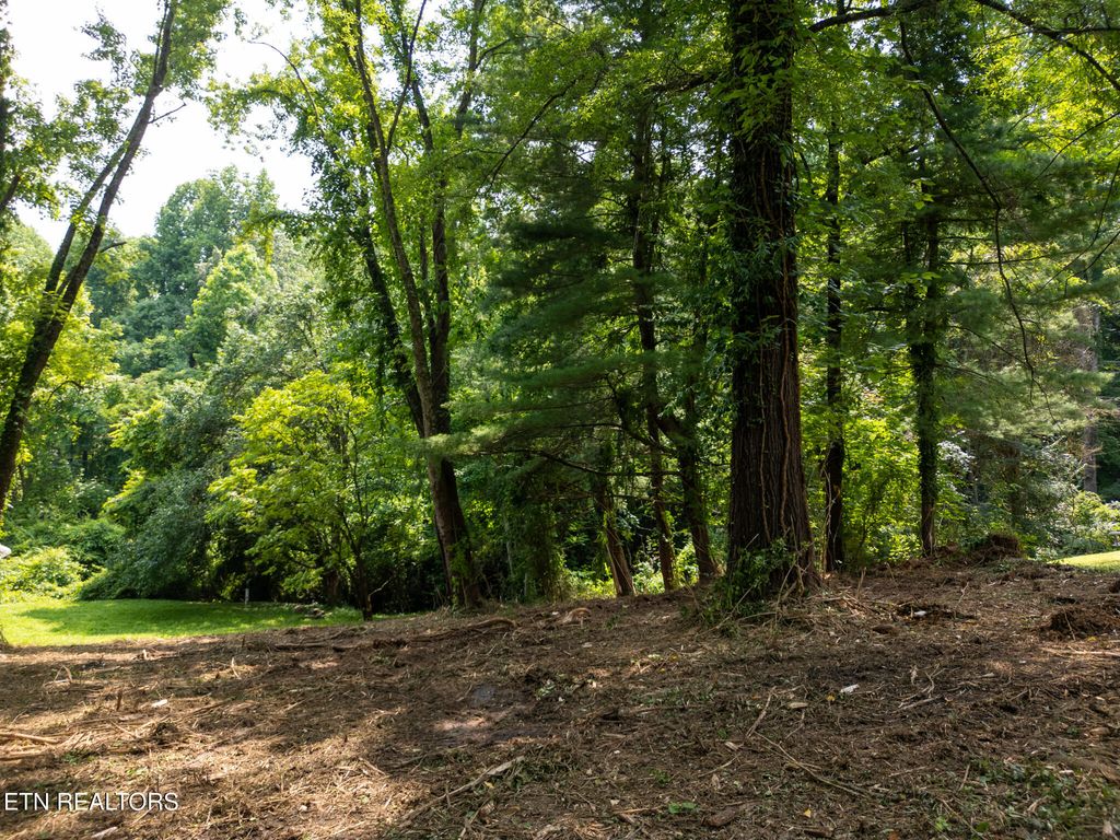 Photo of 107 Jay Lane, Oak Ridge, TN 37830 (MLS # 1314331)
