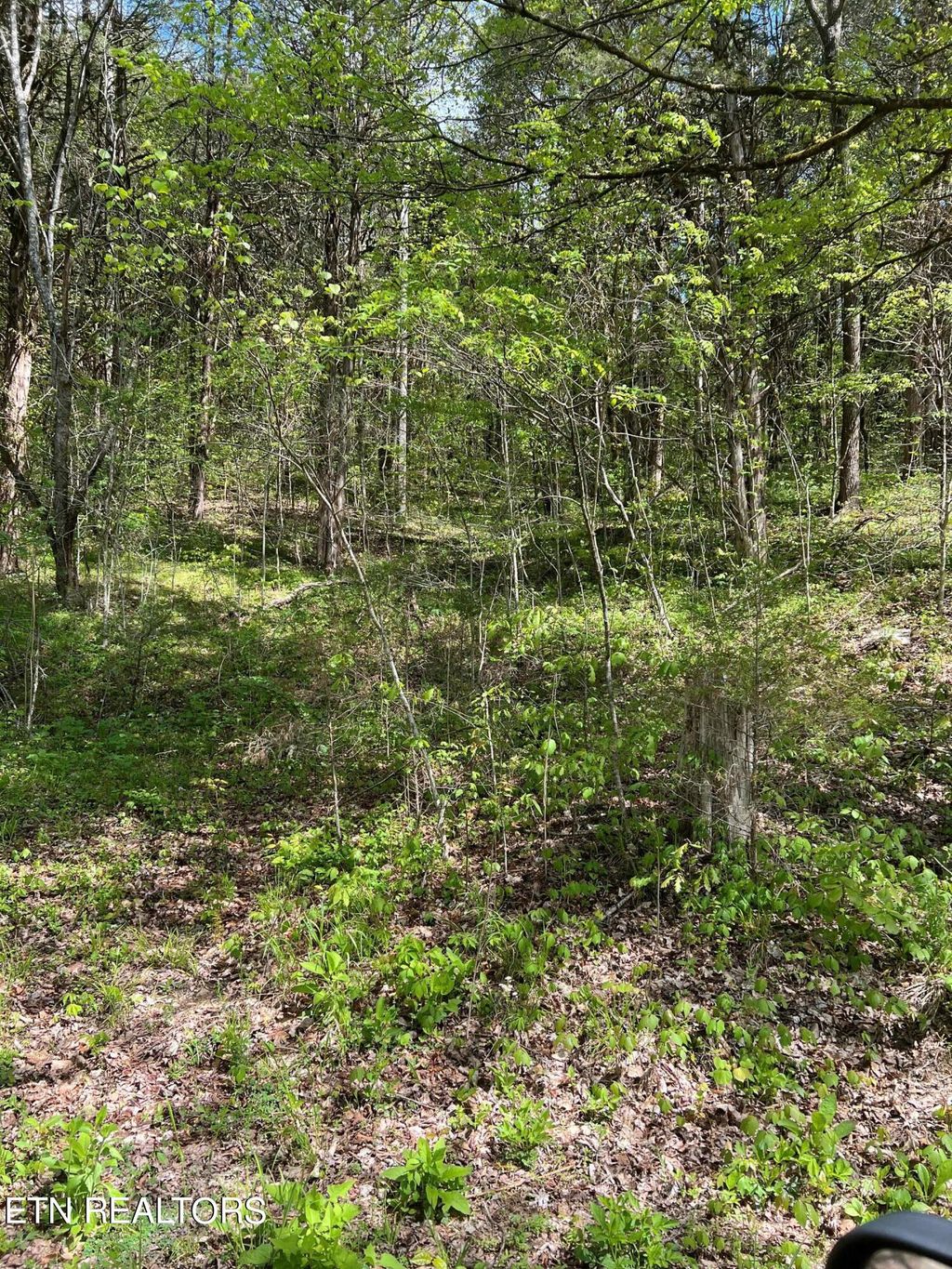Photo of 2 Bear Creek Rd, New Tazewell, TN 37825 (MLS # 1260444)