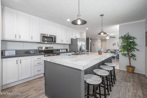 Tiny photo for 4442 Anna Maria Lane, Strawberry Plains, TN 37871 (MLS # 1330351)