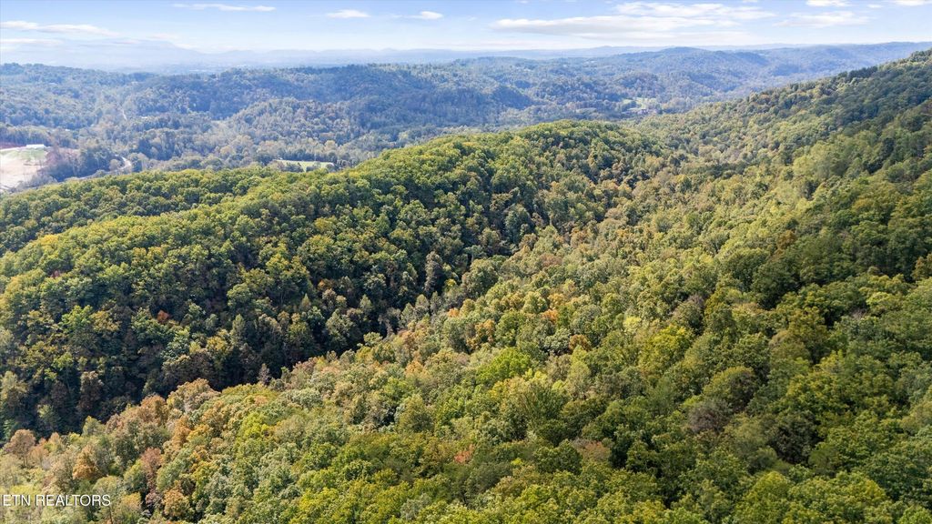 Photo of 560 Prospect Rd, Luttrell, TN 37779 (MLS # 1318727)