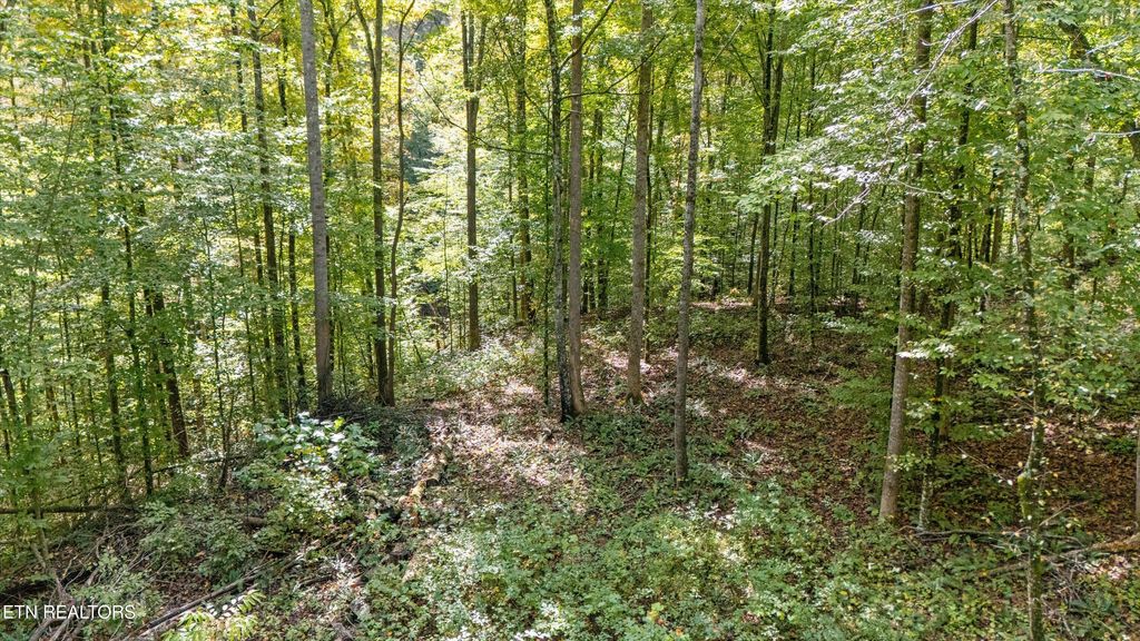 Photo of 560 Prospect Rd, Luttrell, TN 37779 (MLS # 1318727)
