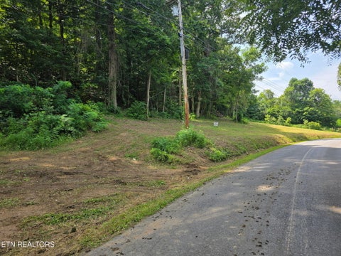 Photo of 0 McGaha Hollow Rd, Dandridge, TN 37725 (MLS # 1351207)