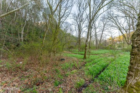 Tiny photo for Bogard Rd, Cosby, TN 37722 (MLS # 1333553)