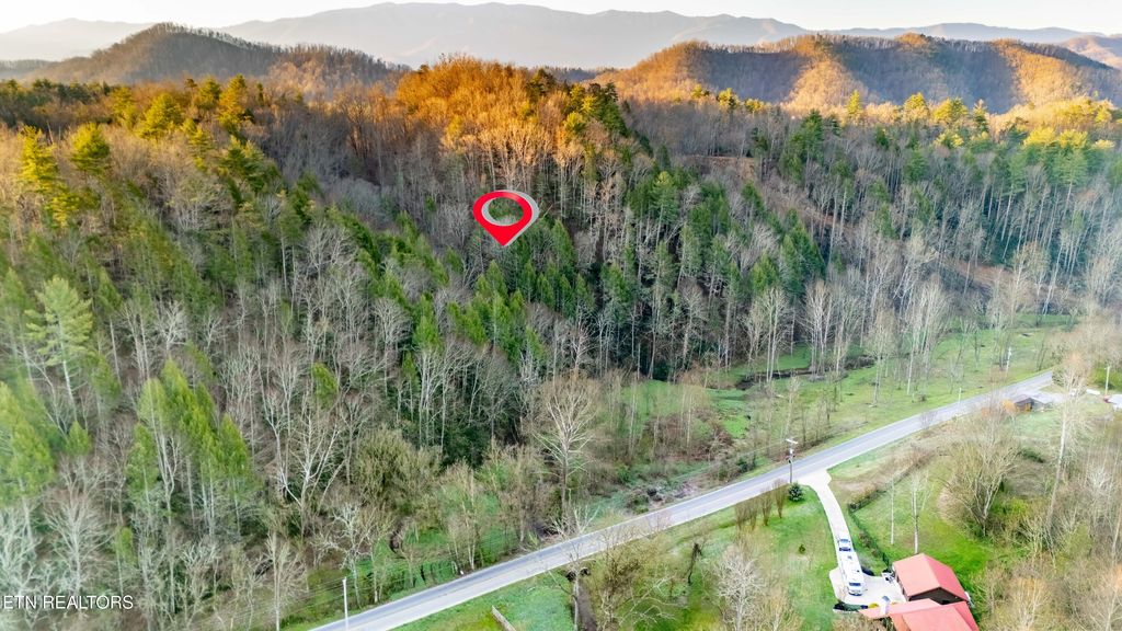 Photo of Bogard Rd, Cosby, TN 37722 (MLS # 1333553)