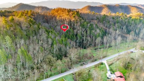 Tiny photo for Bogard Rd, Cosby, TN 37722 (MLS # 1333553)