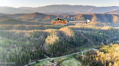 Tiny photo for Bogard Rd, Cosby, TN 37722 (MLS # 1333553)