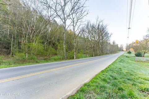 Tiny photo for Bogard Rd, Cosby, TN 37722 (MLS # 1333553)