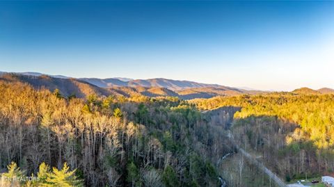 Tiny photo for Bogard Rd, Cosby, TN 37722 (MLS # 1333553)