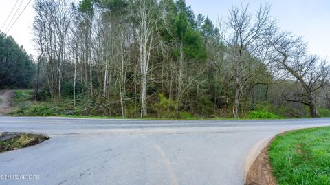 Tiny photo for Bogard Rd, Cosby, TN 37722 (MLS # 1333553)