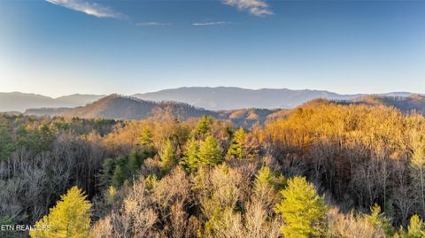 Tiny photo for Bogard Rd, Cosby, TN 37722 (MLS # 1333553)