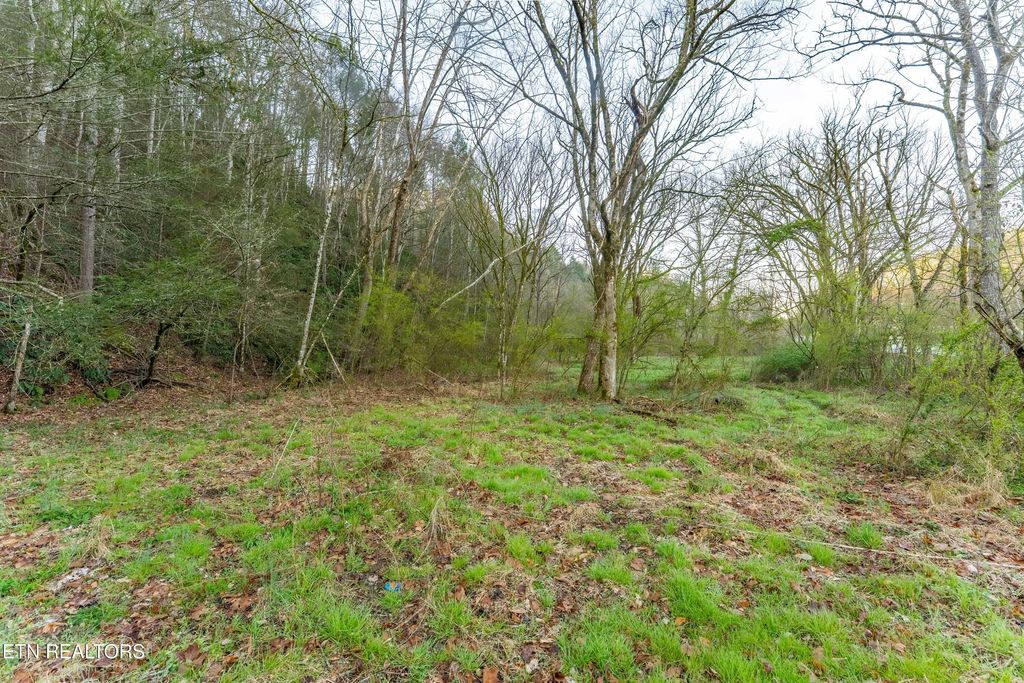 Photo of Bogard Rd, Cosby, TN 37722 (MLS # 1333553)