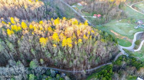 Tiny photo for Bogard Rd, Cosby, TN 37722 (MLS # 1333553)