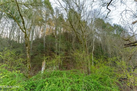 Tiny photo for Bogard Rd, Cosby, TN 37722 (MLS # 1333553)