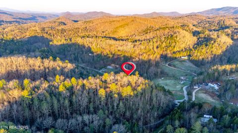 Tiny photo for Bogard Rd, Cosby, TN 37722 (MLS # 1333553)