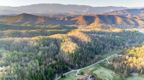 Tiny photo for Bogard Rd, Cosby, TN 37722 (MLS # 1333553)