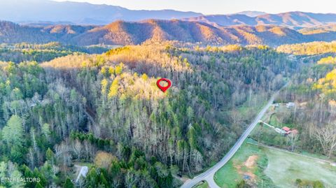 Tiny photo for Bogard Rd, Cosby, TN 37722 (MLS # 1333553)