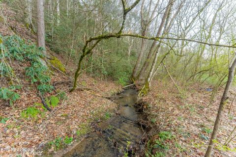 Tiny photo for Bogard Rd, Cosby, TN 37722 (MLS # 1333553)