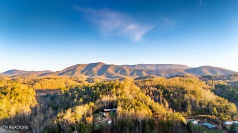 Tiny photo for Bogard Rd, Cosby, TN 37722 (MLS # 1333553)