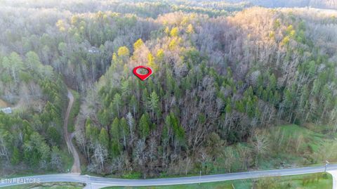 Tiny photo for Bogard Rd, Cosby, TN 37722 (MLS # 1333553)