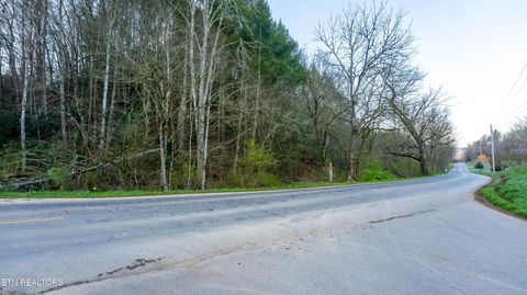 Tiny photo for Bogard Rd, Cosby, TN 37722 (MLS # 1333553)