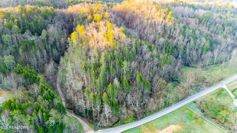 Tiny photo for Bogard Rd, Cosby, TN 37722 (MLS # 1333553)