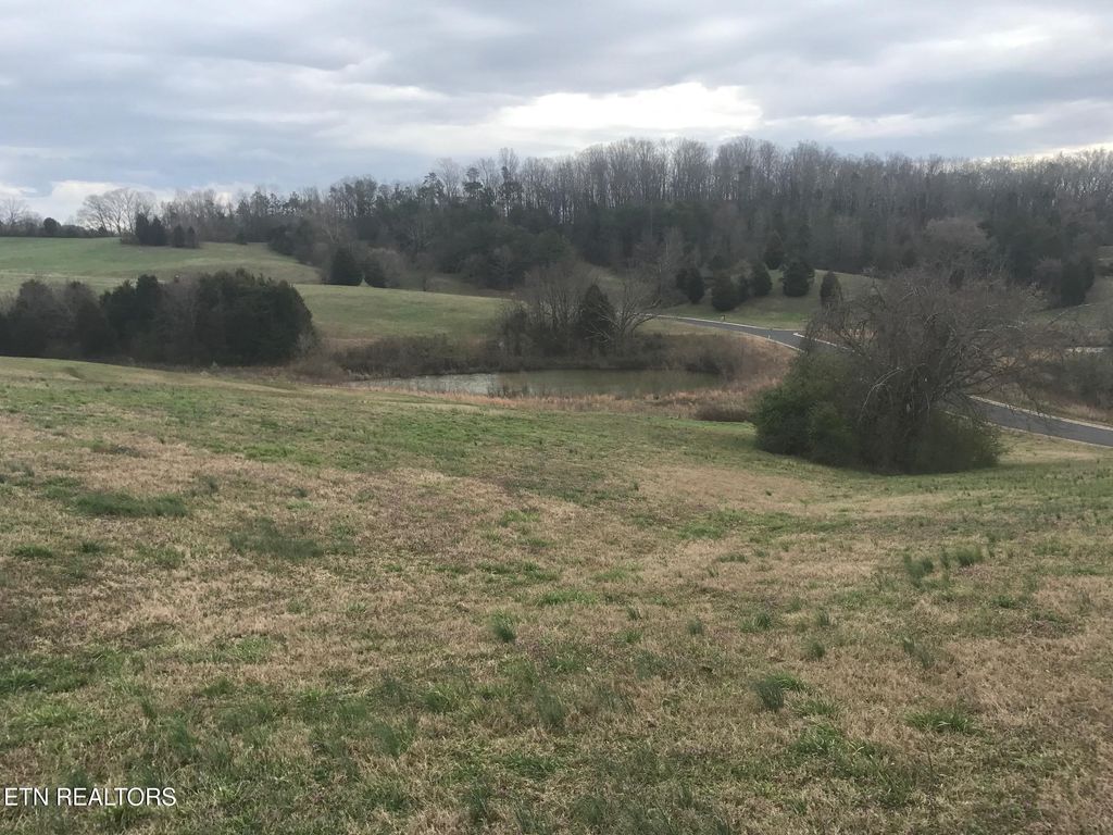 Photo of Volunteer Lane, Vonore, TN 37885 (MLS # 1337389)