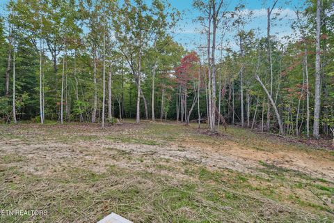 Tiny photo for 432 Pilot Mountain Rd Rd, Lancing, TN 37770 (MLS # 1315914)