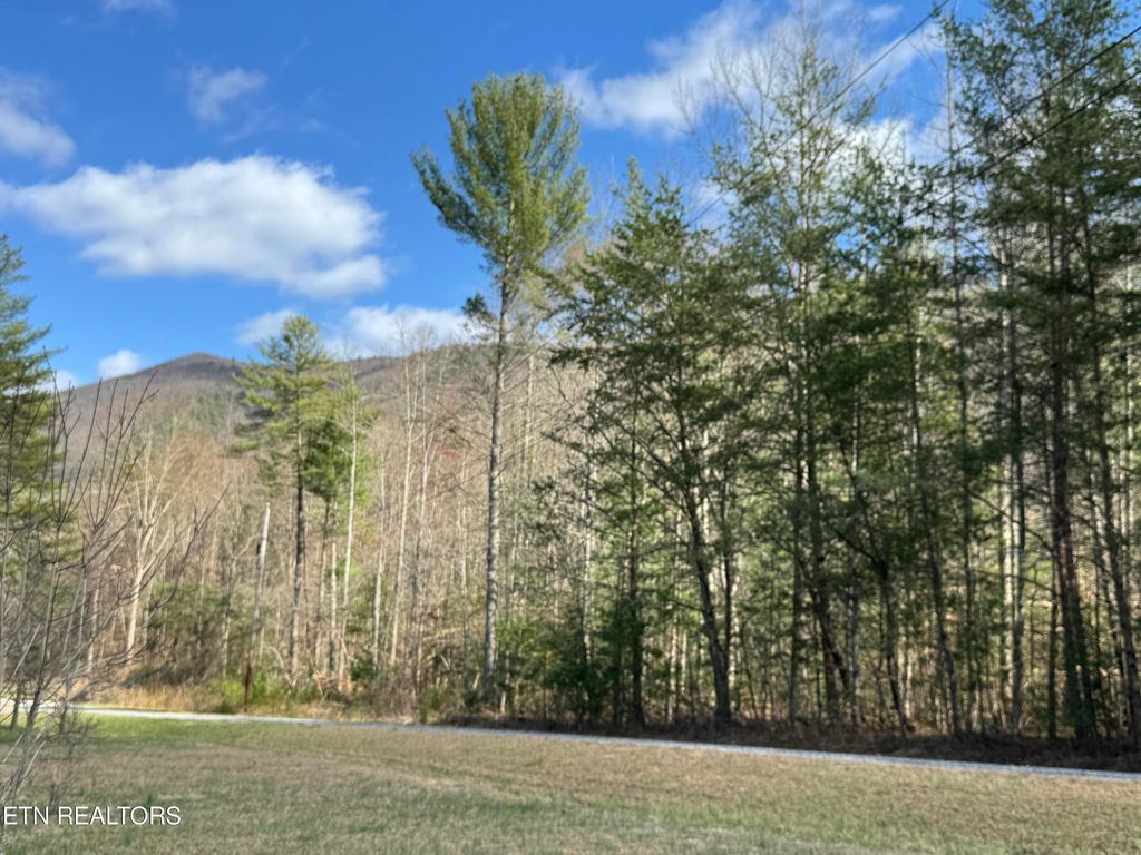 Photo of Cougar Trail 3ac, Del Rio, TN 37727 (MLS # 1294253)
